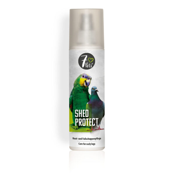 pb 200ml shedprotect 310082 scaled